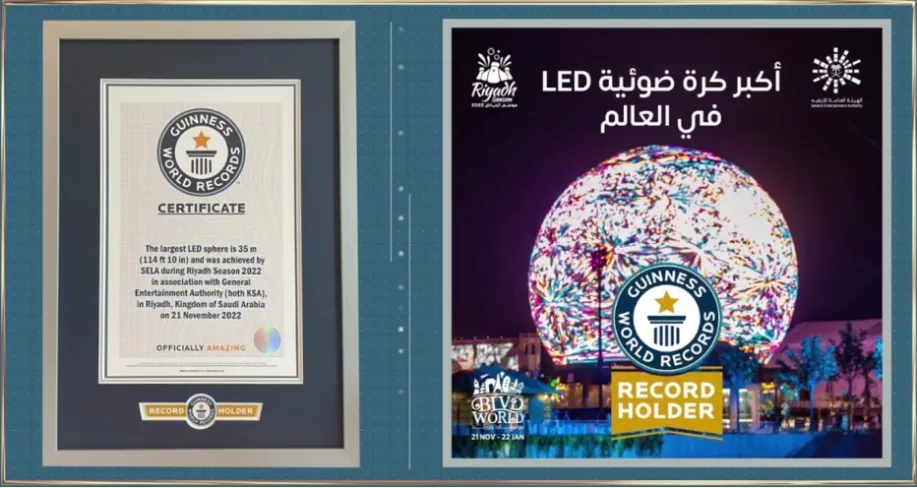 What it takes to be awarded the Guinness World Record?