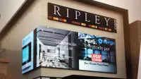 Commercial Display Application Review 2019