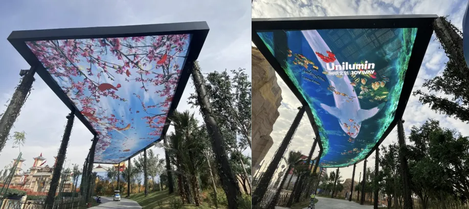 What it takes to be awarded the Guinness World Record?