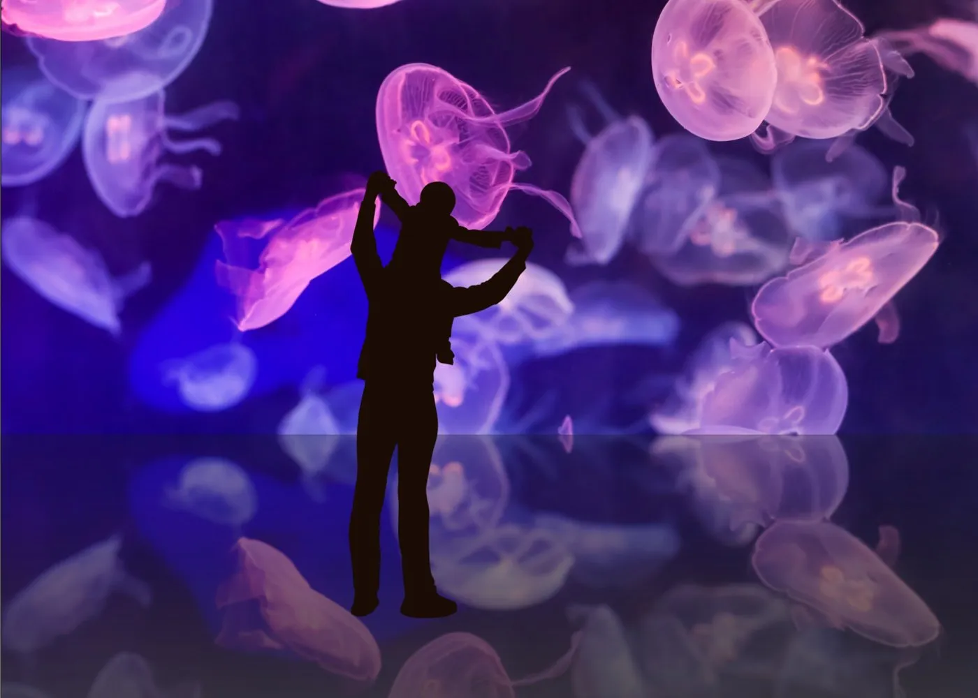 Human-friendly Experience 