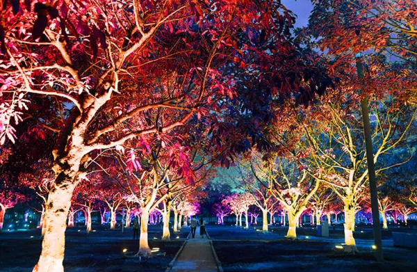 Tourism Lighting Attraction